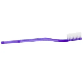 Economy Toothbrush, Translucent Purple with Soft Rounded Bristles, Adult Size