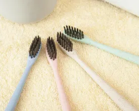 Individual Toothbrush 4 Pcs Travel Toothbrush with Individual Case