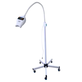 Sunna Smile In Studio LED Floor Light